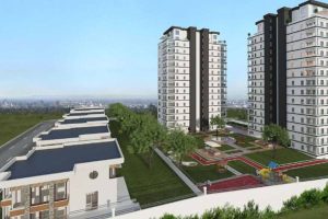 WhatsApp Image 2025-10-25 at 13.56.19 (2)